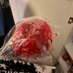 Artificiell Hjärna