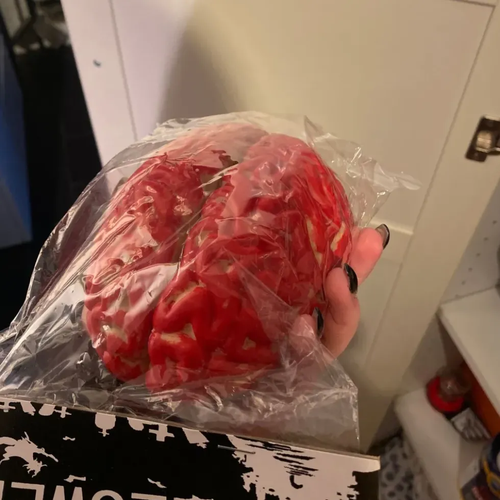 Artificiell Hjärna