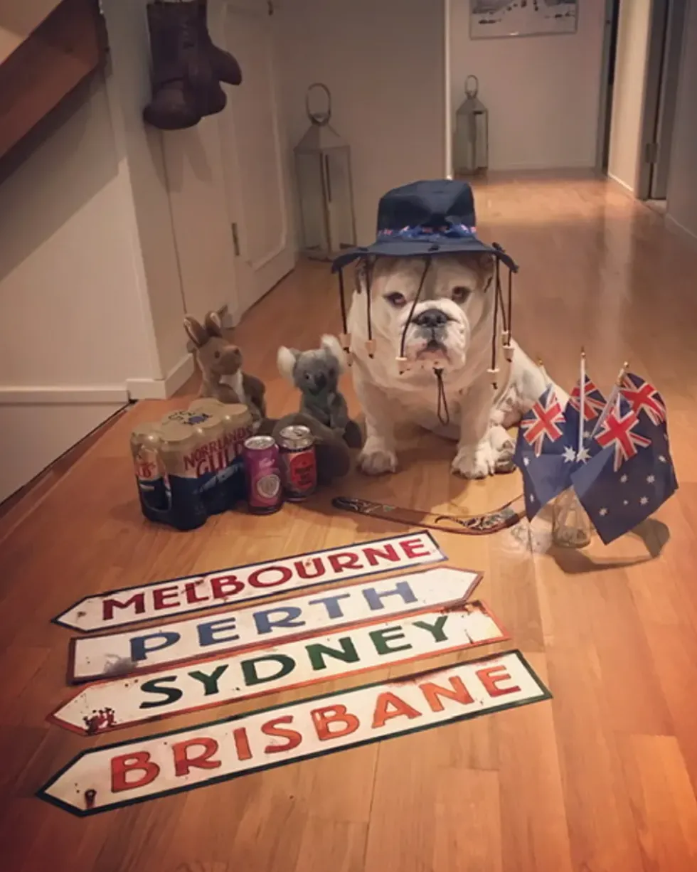 Australienska Vägskyltar Dekoration