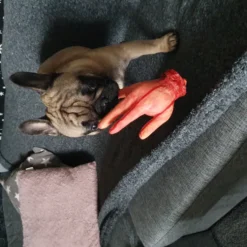 Avhuggen Hand med Blod Prop