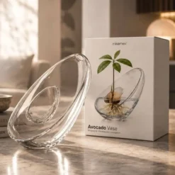 Avokadovas i Glas