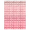 Backdrop Folieballong Rosa Ombre