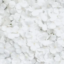 Backdrop Hortensia Vit