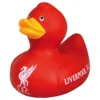 Badanka Liverpool