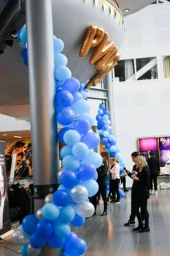 Ballonger Blå