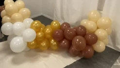Ballonger Bruna