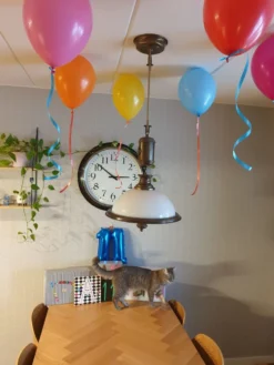 Ballonger Flerfärgade