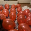 Ballonger Metallic Röd