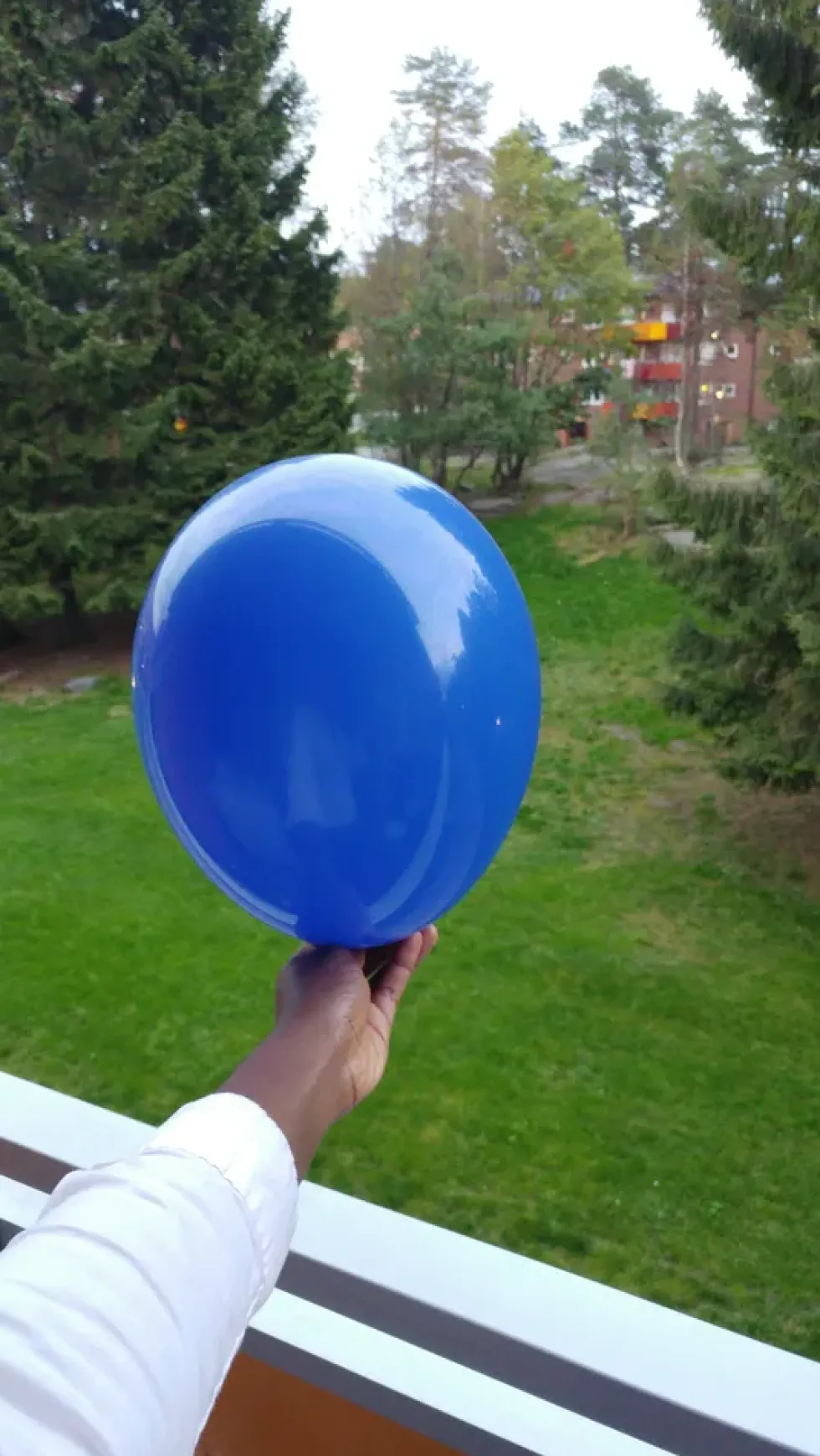 Ballonger Mörkblå