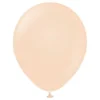 Ballonger Professional Blush