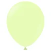Ballonger Professional Macaron Pistachio