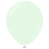 Ballonger Professional Pale Green