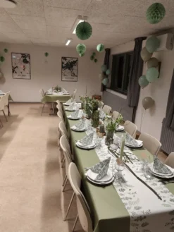Ballonger Professional Pale Green