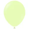 Ballonger Professional Stora Macaron Pistachio