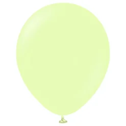 Ballonger Professional Stora Macaron Pistachio