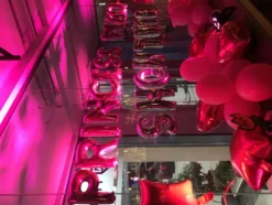 Ballonger Rosa