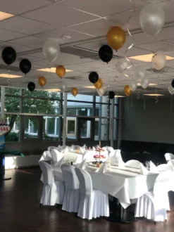 Ballonger Vita