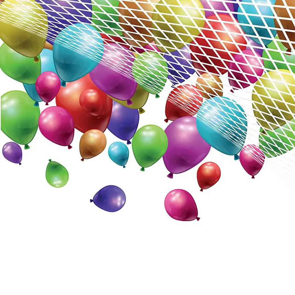 Ballongnät