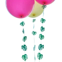 Ballongsvansar Hawaii