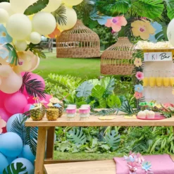 Ballongsvansar Hawaii