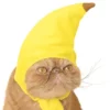 Bananhatt för Katt