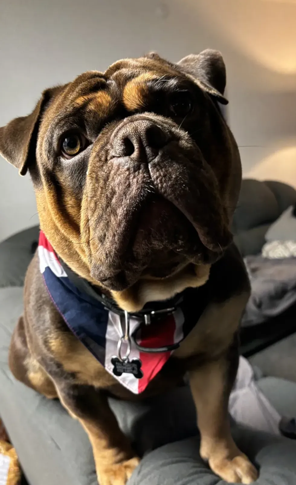 Bandana UK