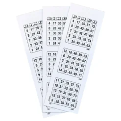 Bingobrickor Vit
