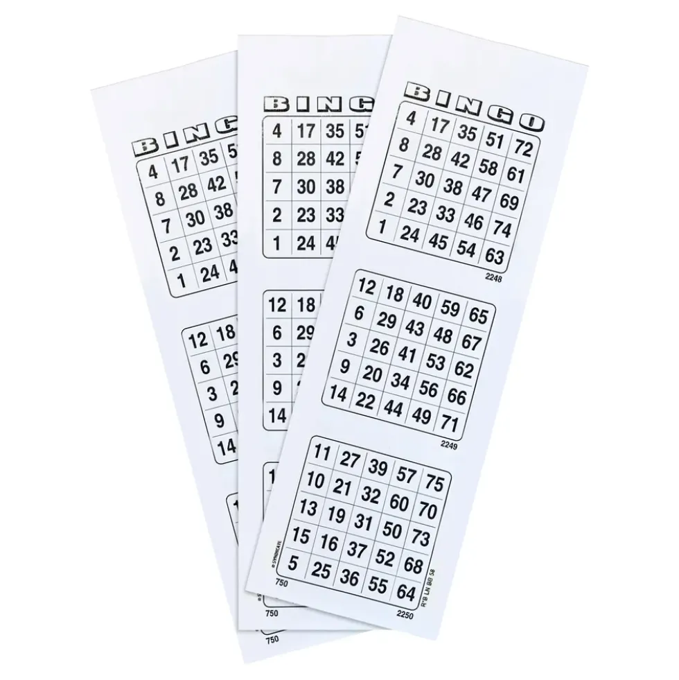 Bingobrickor Vit