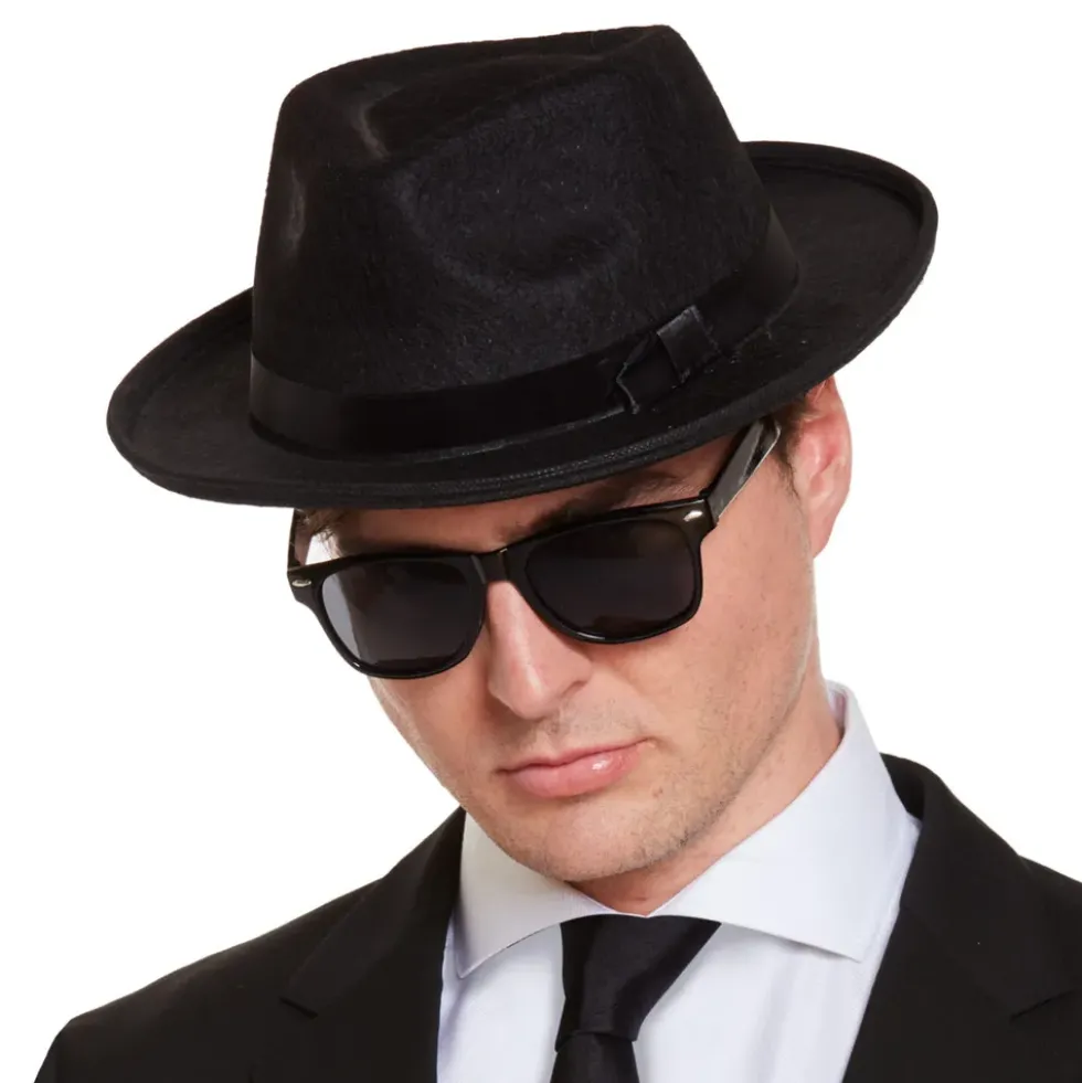 Bluesartist Tillbehörskit