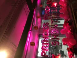 Bokstavsballong Mini Rosa