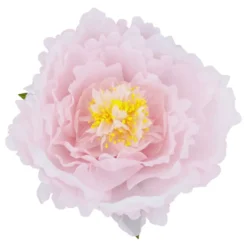 Bordsdekoration Pion Rosa