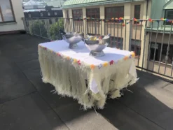Bordskjol Hawaii