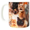 Crazy Cat Lady Mugg