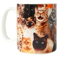 Crazy Cat Lady Mugg