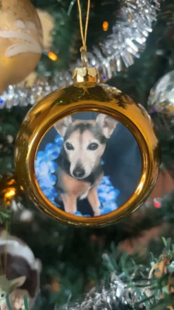 Designa Din Egen Julgranskula