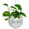 Discokula Blomkruka