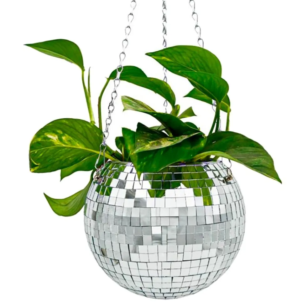 Discokula Blomkruka