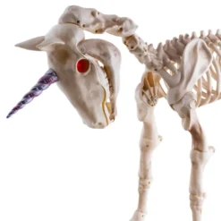 Enhörning Skelett med Animerad Prop