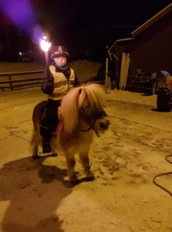 Facklor Svarta