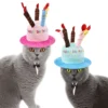 Födelsedagshatt för Katt