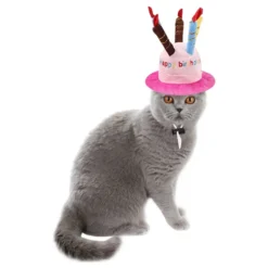 Födelsedagshatt för Katt