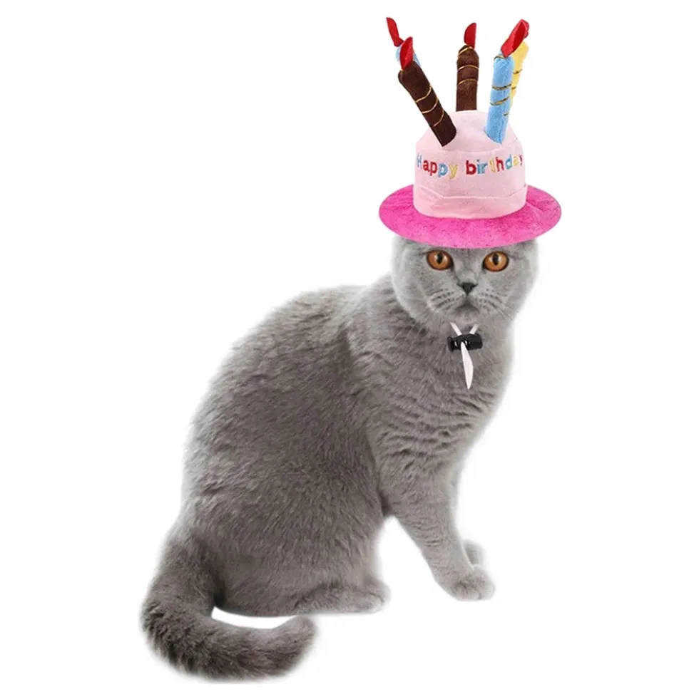 Födelsedagshatt för Katt