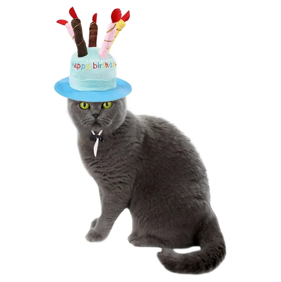 Födelsedagshatt för Katt