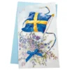 Födelsedagskort Sverige med Sedelfack