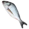 Fisk i Tyg