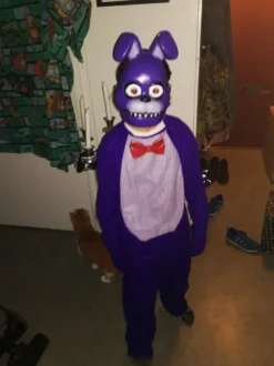 Five Nights at Freddy's Bonnie Barn Maskeraddräkt