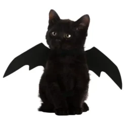Fladdermusvingar för Katt