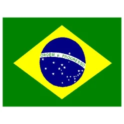 Flagga Brasilien