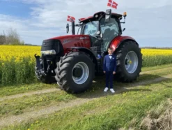 Flagga på Pinne Danmark