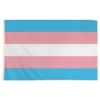 Flagga Transgender